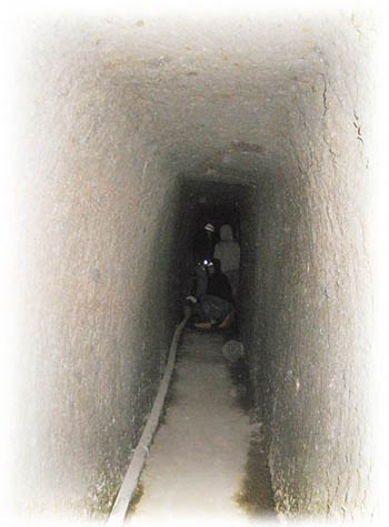 Scopri i Connutti di Vignanello